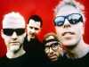The offspring.